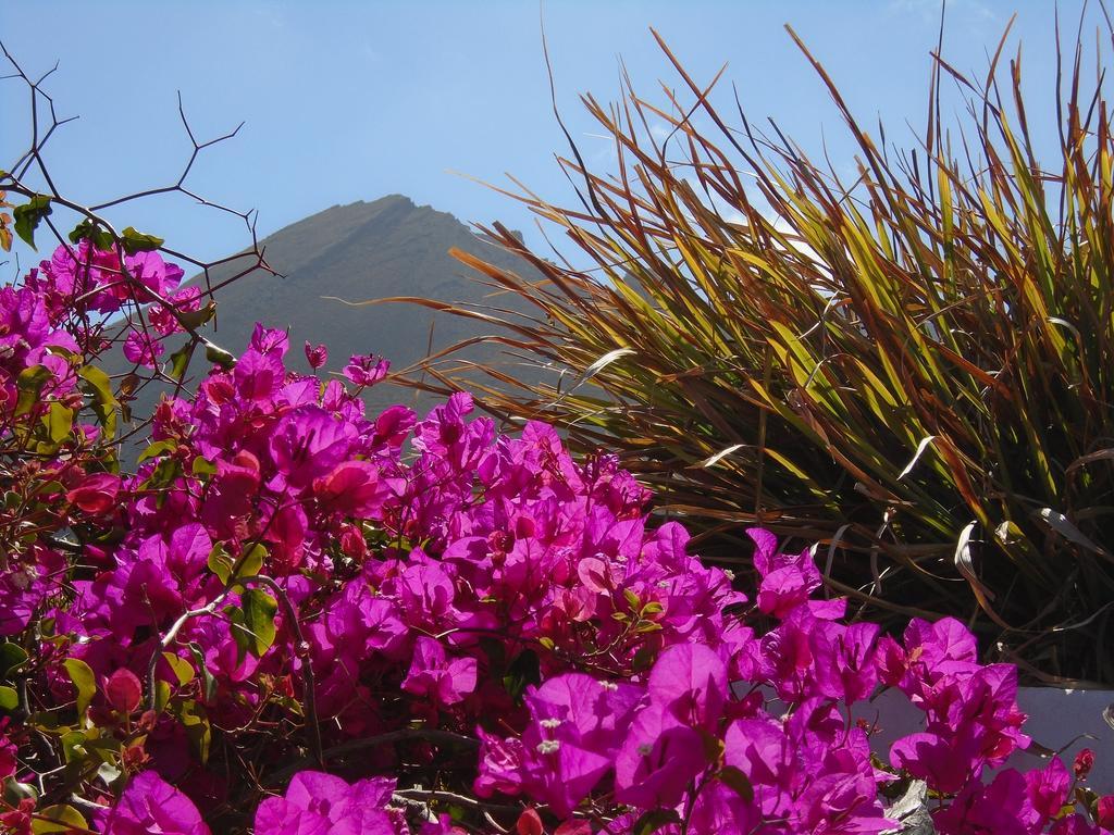 El Cortijo Eco Finca Ye Ngoại thất bức ảnh