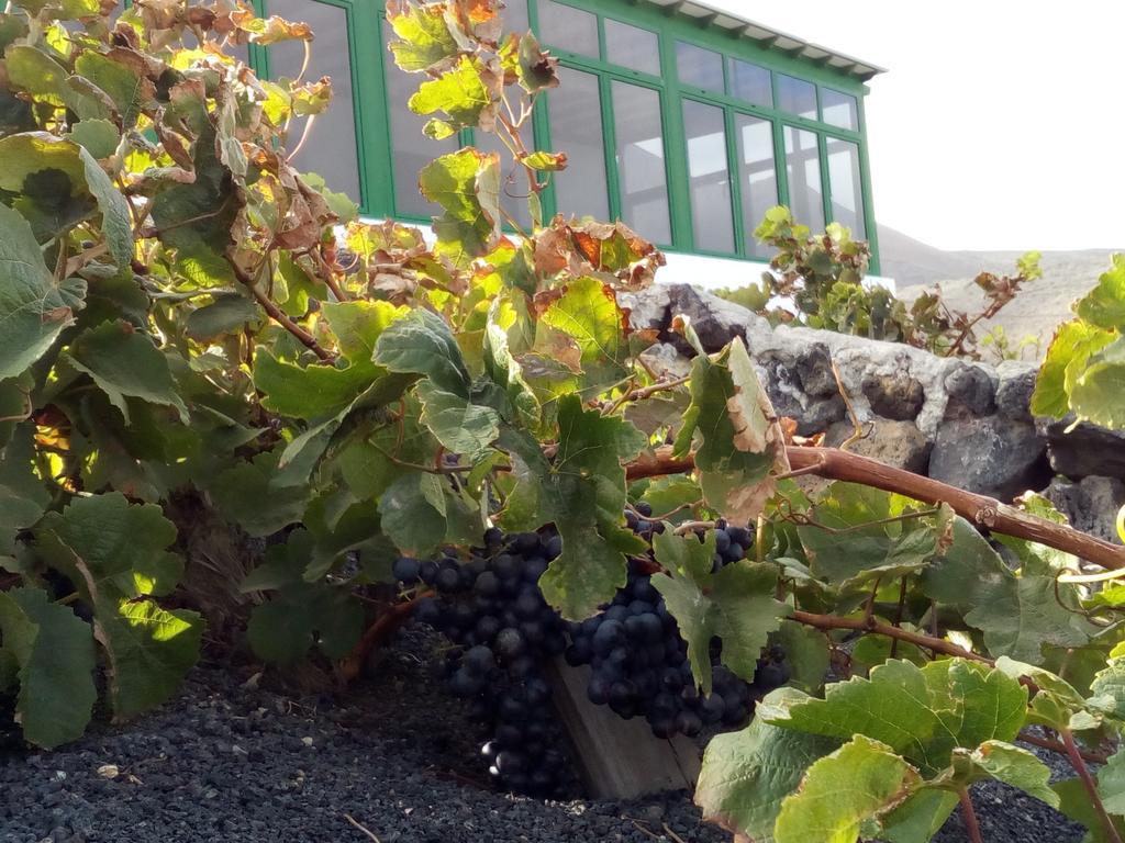 El Cortijo Eco Finca Ye Ngoại thất bức ảnh